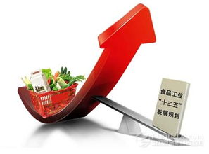 《“十三五”食品工业发展意见》发布 聚焦营养健康，功能性食品迎来发展新机遇