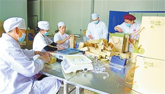 生态农业前景广 食品开发助振兴——赣南日报数字报聚焦绿色转型新篇章