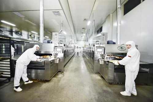 二十载匠心烘焙路——大万食品以品质铸就信誉丰碑