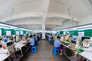 雪峰山下产业新篇 洞口经开区食品产业蓬勃发展纪实