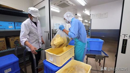 日本学生餐食探秘 食品开发与生产背后的科学与责任