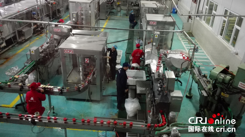 乌鲁木齐经济技术开发区 食品开发助力新疆对外贸易新突破