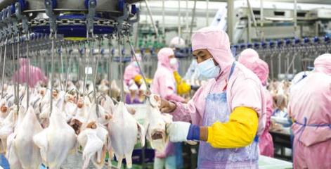 固镇 锚定“四大战略”推动高质量发展，食品开发引领产业升级