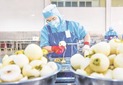 以食品开发促进深加工 推动梨产业高质量发展